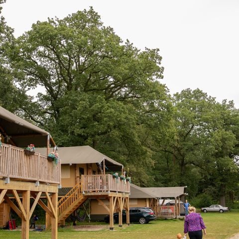 UNIEKE ACCOMMODATIE 6 personen - Boomhut Safari