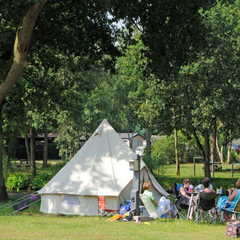 Camping Zavelbos - Camping Belgisch Limburg - Afbeelding N°5