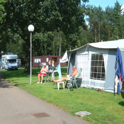 Camping Zavelbos - Camping Belgisch Limburg - Afbeelding N°2
