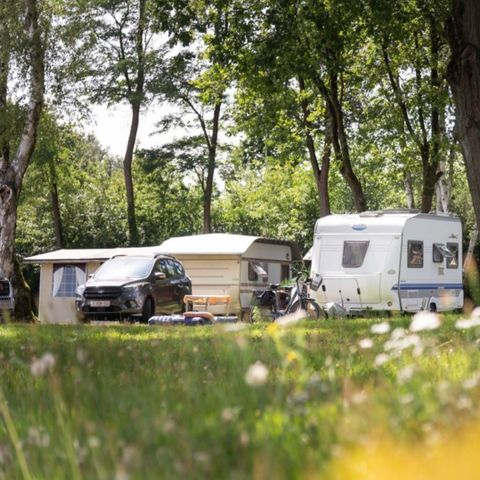 Camping de Binnenvaart - Camping Belgisch Limburg - Afbeelding N°6