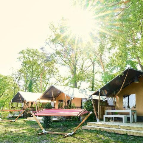 Safaritent 6 personen - Glampingtent