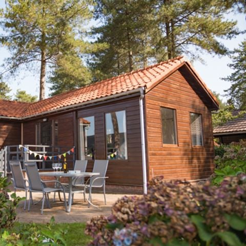 Lodge 5 personen - Luxury