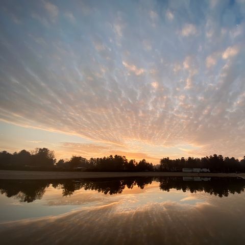 Lodge 4 personen - Mobi Lodge