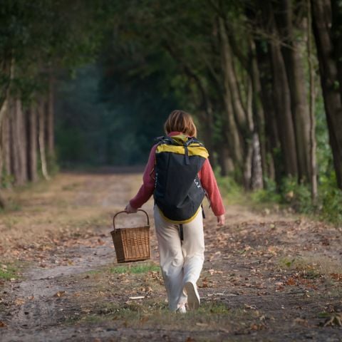 Bungalow 4 personen - Trekkershut