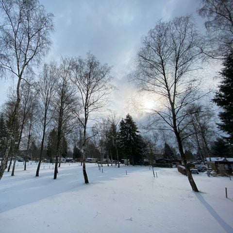 Bungalow 4 personen - Trekkershut