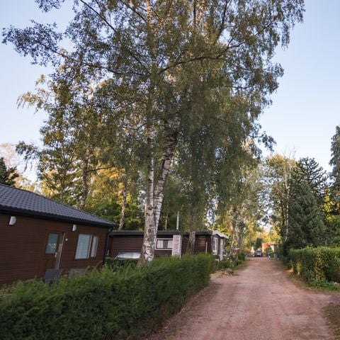 Bungalow 6 personen - Trekkershut Groot