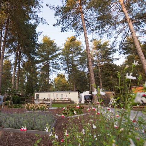 Bungalow 6 personen - Trekkershut Groot