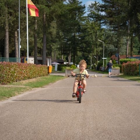 Arden Parks Tulderheyde - Camping Antwerpen - Afbeelding N°6