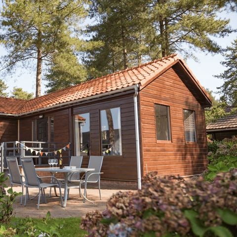 Arden Parks Tulderheyde - Camping Antwerpen - Afbeelding N°3