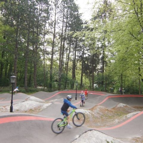 Villapark de Hondsrug - Camping Borger-Odoorn - Afbeelding N°5