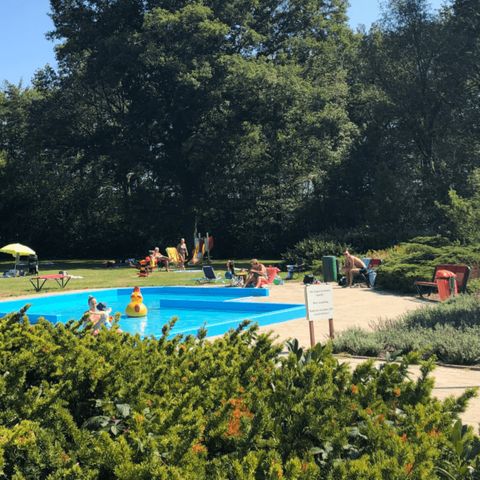 Villapark de Hondsrug - Camping Borger-Odoorn - Afbeelding N°2