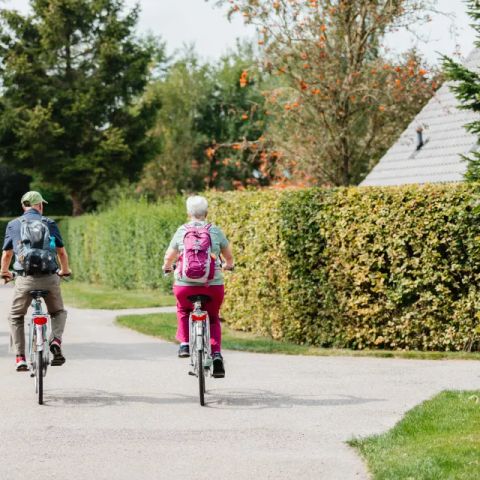 Drentse Vennen - Camping Noordenveld - Afbeelding N°5