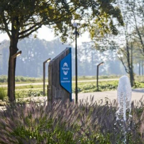 TopParken Resort de Brabantse Kempen - Camping Reusel-De-Mierden - Afbeelding N°6