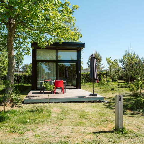 UNIEKE ACCOMMODATIE 4 personen - Tiny house De Hoagte C6