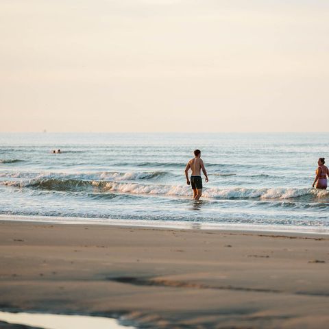 UNIEKE ACCOMMODATIE 4 personen - Wikkelhouse Bear