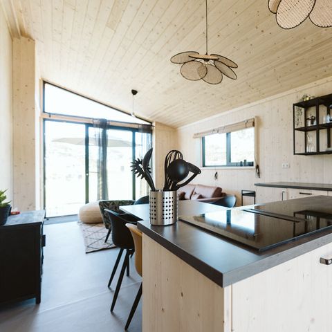 UNIEKE ACCOMMODATIE 4 personen - Tiny house Barn C24