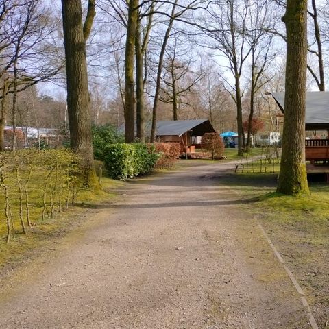 Safaritent 6 personen