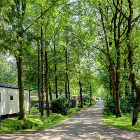 Vodatent Camping het Veen - Camping West-Vlaanderen - Afbeelding N°2