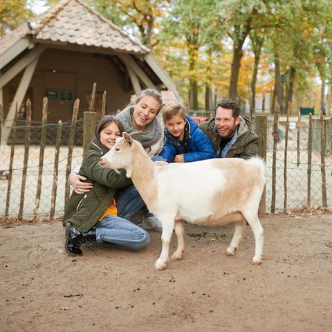 Center Parcs Nordborg Resort - Camping Zuid-Denemarken - Afbeelding N°4