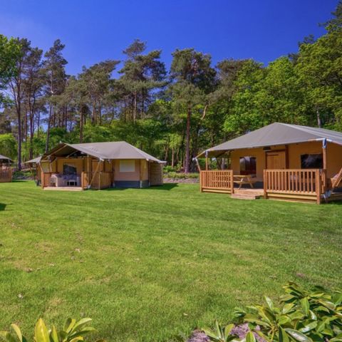 Vodatent Landgoed 't Wildryck - Camping Westerveld - Afbeelding N°2