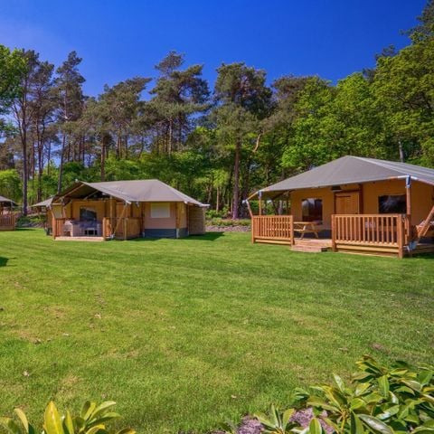 VAKANTIEHUIS 32 personen - Glamping