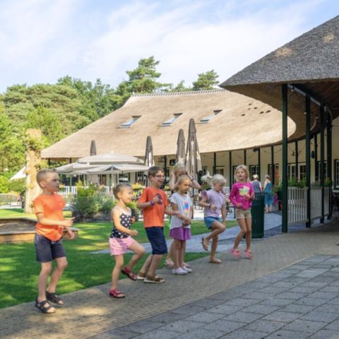 Vodatent Landgoed 't Wildryck - Camping Westerveld - Afbeelding N°3