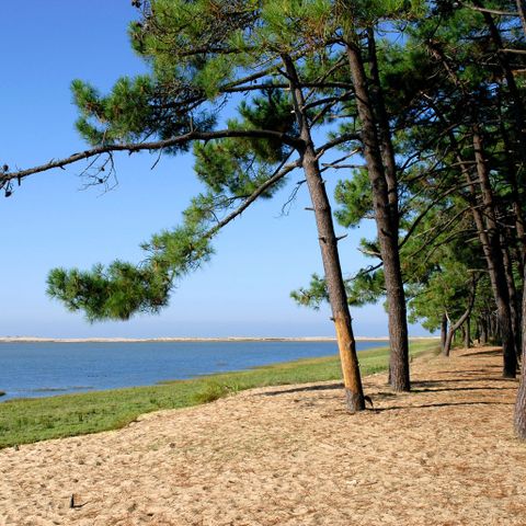 Camping Sandaya Les Mathes - Camping Charente-Maritime - Afbeelding N°2