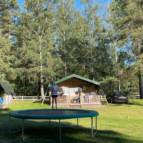 Safaritent 6 personen - incl. privé sanitair
