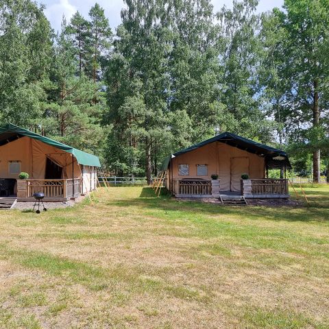 Safaritent 6 personen - incl. privé sanitair