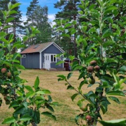 Vodatent Smaland Miniglamping - Camping Kalmar - Afbeelding N°6