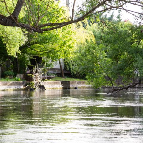 SOWELL - Domaine de la petite Isle - Luberon - Vaucluse - Afbeelding N°6