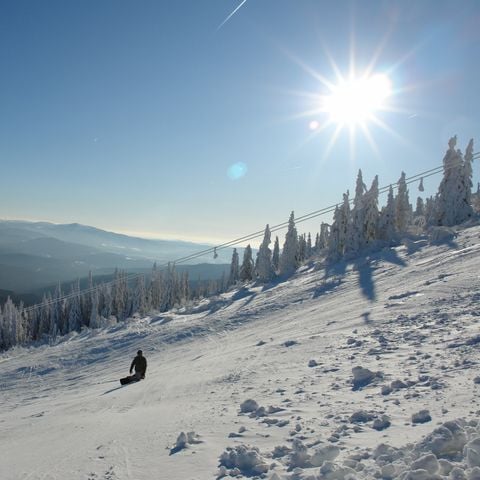 Landal Arber - Camping Beieren - Afbeelding N°4