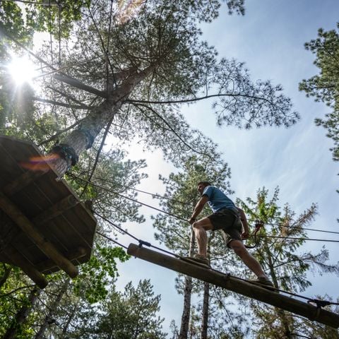 Landal Arber - Camping Beieren - Afbeelding N°3