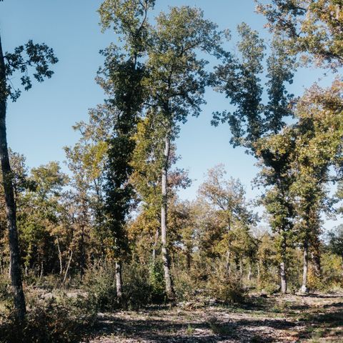 STAANPLAATS - Enkele locatie