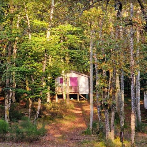 Vodatent Camping Montard  - Camping Corrèze - Afbeelding N°5