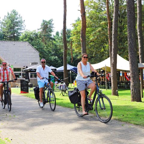 Camping Kempen - Camping West-Vlaanderen - Afbeelding N°2