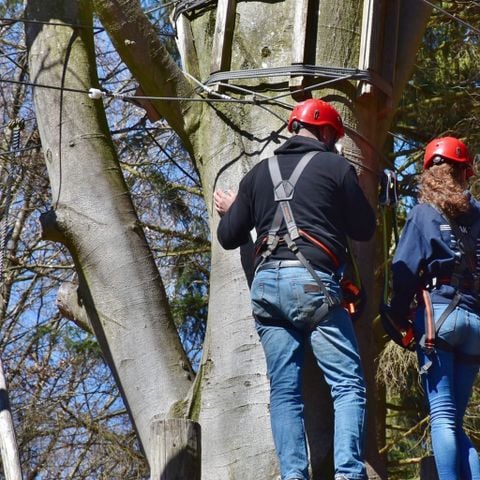 Boscamping Appelscha - Camping Ooststellingwerf - Afbeelding N°5