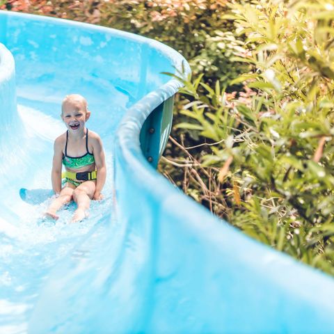 Veluwepark de Bosgraaf - Camping Apeldoorn - Afbeelding N°2