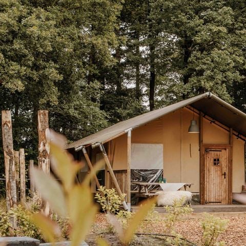 Safaritent 6 personen