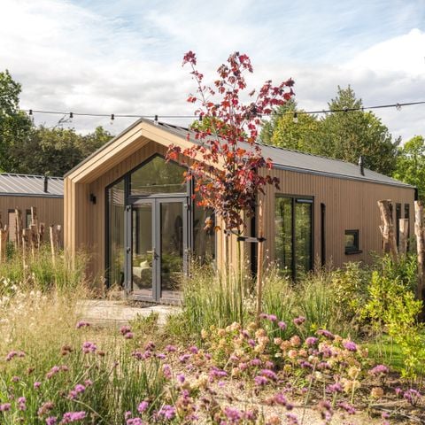 UNIEKE ACCOMMODATIE 4 personen - Tiny Lodge