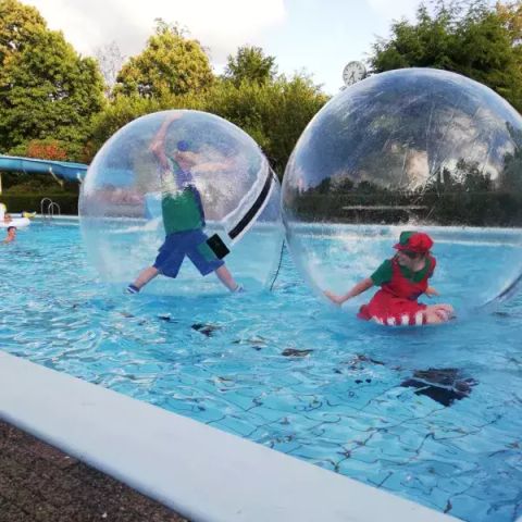 Veluwepark de Bosgraaf - Camping Apeldoorn - Afbeelding N°6