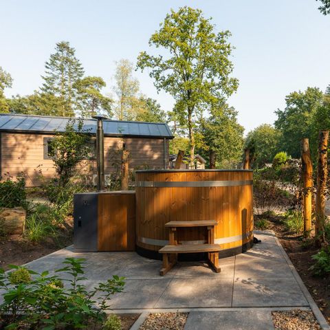 Veluwepark de Bosgraaf - Apeldoorn - Afbeelding N°3