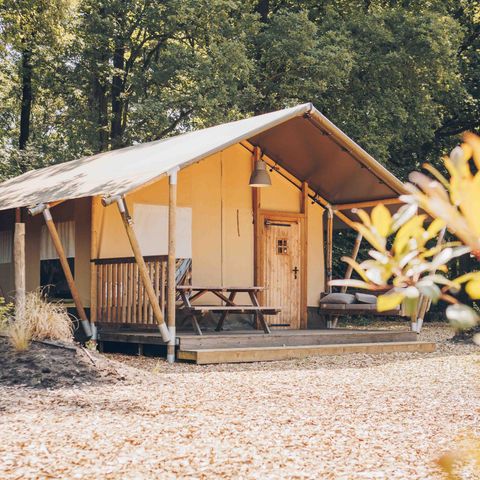 Veluwepark de Bosgraaf - Apeldoorn - Afbeelding N°4