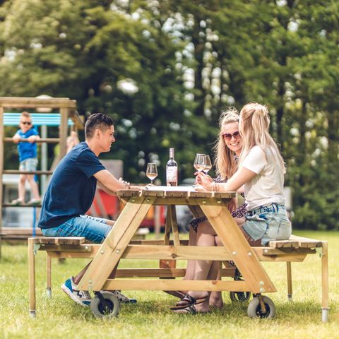 Veluwepark de Bosgraaf - Camping Apeldoorn - Afbeelding N°4