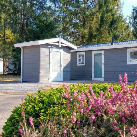 Chalet 4 personen - Bosuil