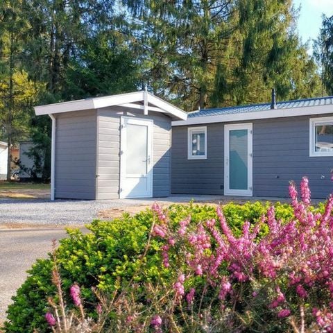 Chalet 4 personen - Bosuil