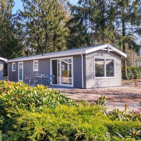 Chalet 4 personen - Bosuil