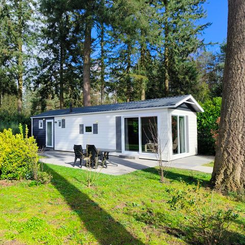 Recreatiepark De Reehorst - Camping Bronckhorst - Afbeelding N°4