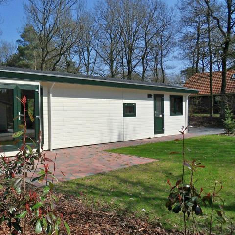 Chalet 4 personen - Boterbloem
