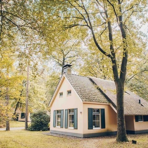 Bungalow 4 personen - Esdorp met Bedstee | 4+2 personen